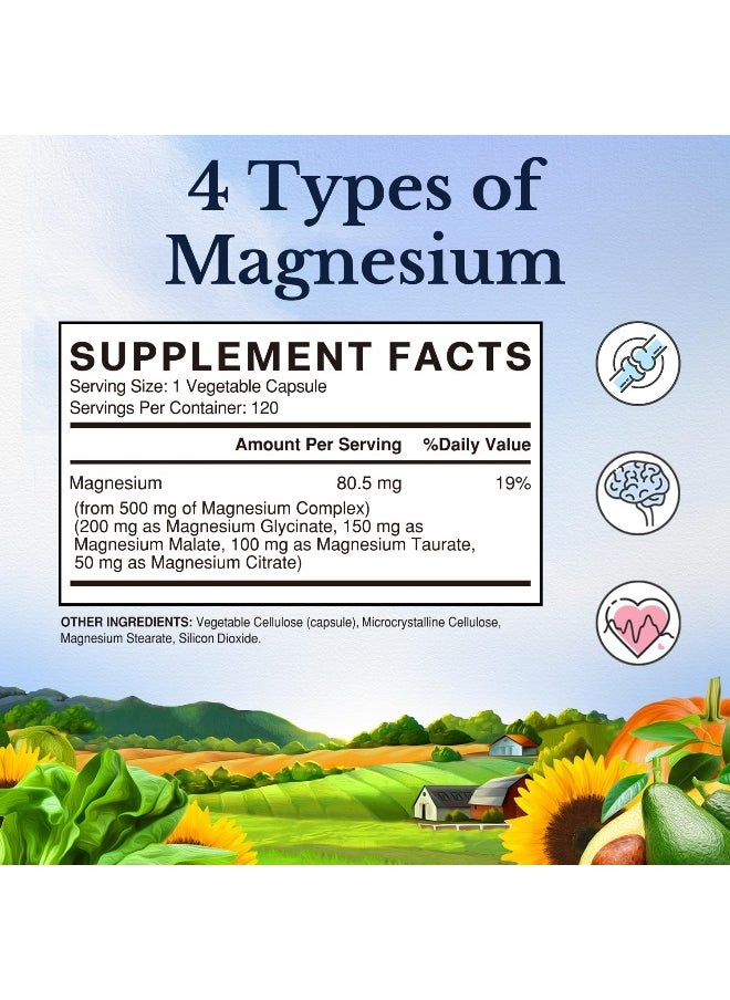 Vitalitown Vitalitown Magnesium Complex, Magnesium Glycinate, Malate, Taurate & Citrate, Chelated Forms, High Absorption, Bone, Heart, Muscle, Immune, Energy, Sleep & Digestion, Non-GMO  - Image 2