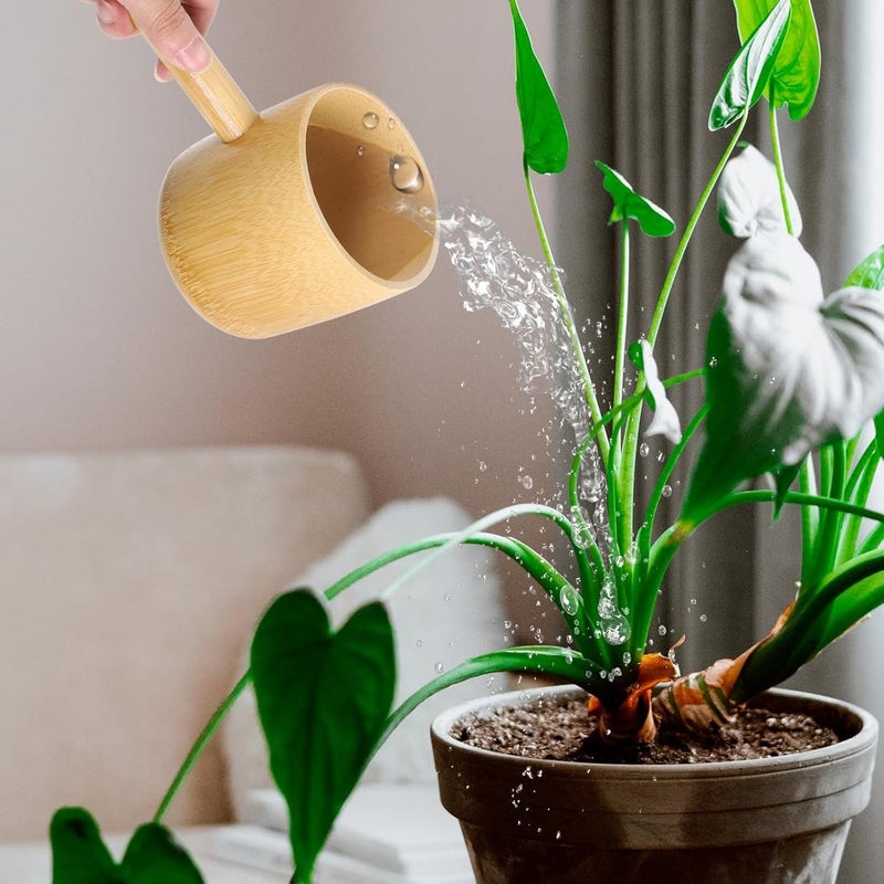 Water Ladle Japanese Style Bath Salt Spoon for Home Use Kitchen and Bathroom Water Dipper - Image 5