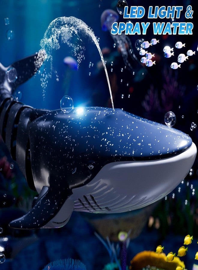 WATUDOU Remote Control Whale Shark Black - Image 3
