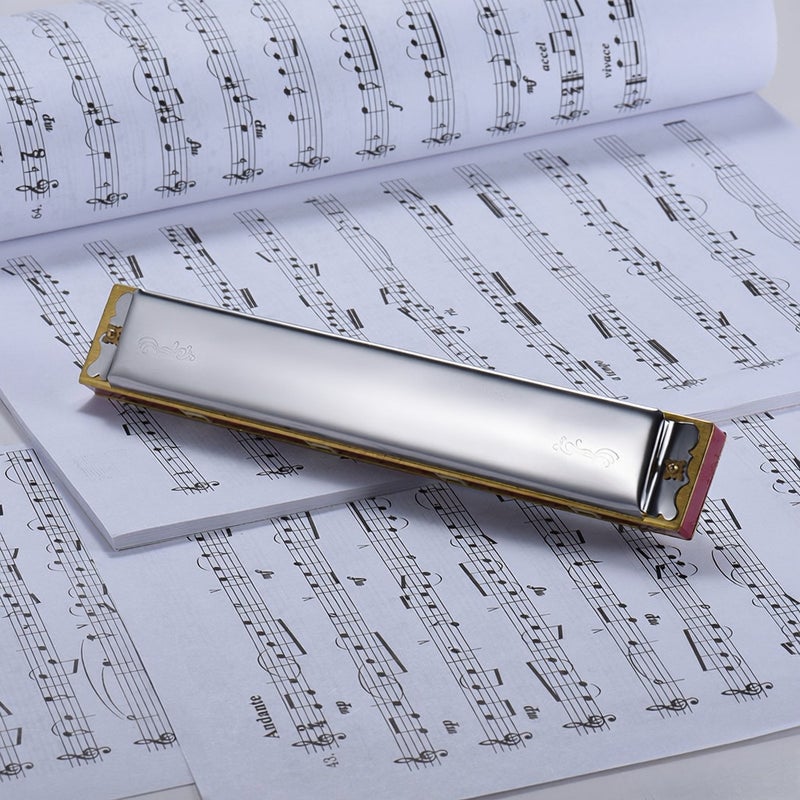 Tremolo Harmonica 24 Holes C Key Melodious Sound Compact Design - Durable Stainless Steel Cover Plate Resin Frets for Beginner Players - Image 2
