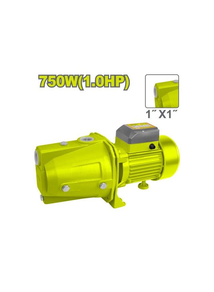 DYLLU Water pump 750W(1.0HP) DTWPJA03 
