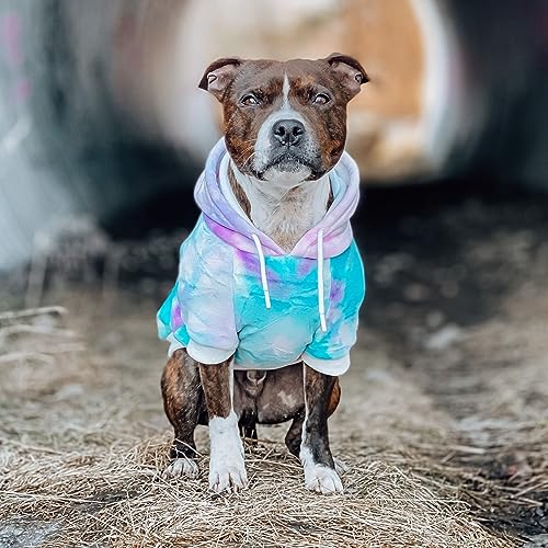 Spark Paws Dog Hoodie – Premium Dog Sweater for Small, Medium, and Large Dogs | Warm Outfits for French Bulldogs, Pitbull, Puppy, Winter Jacket Alternative - 90s Retro Sky Dye - L - Image 4