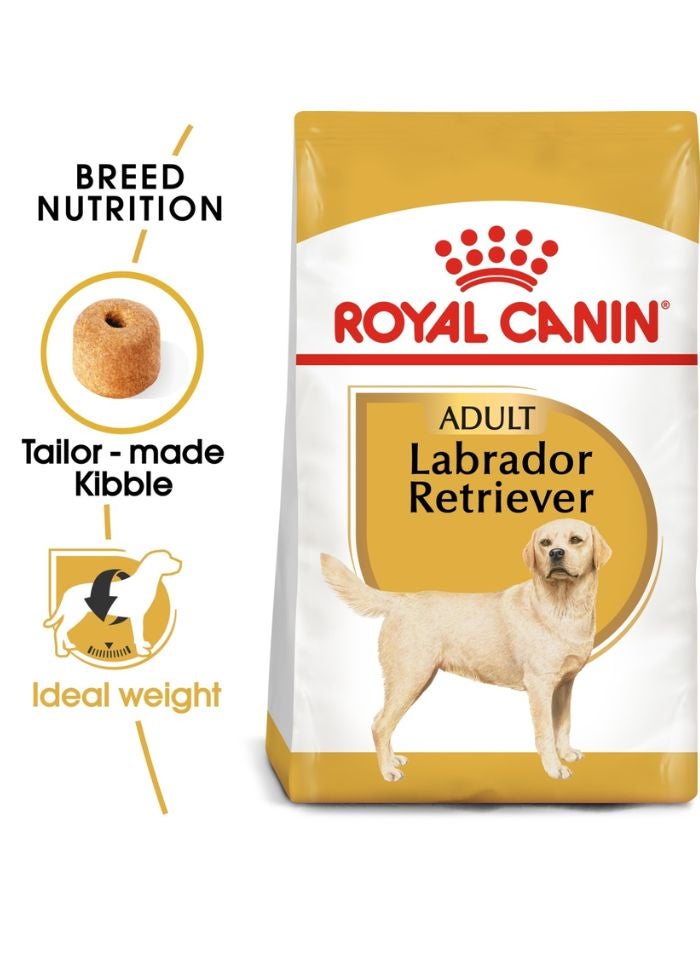 ROYAL CANIN Breed Health Nutrition Labrador Adult 12 KG - Image 1