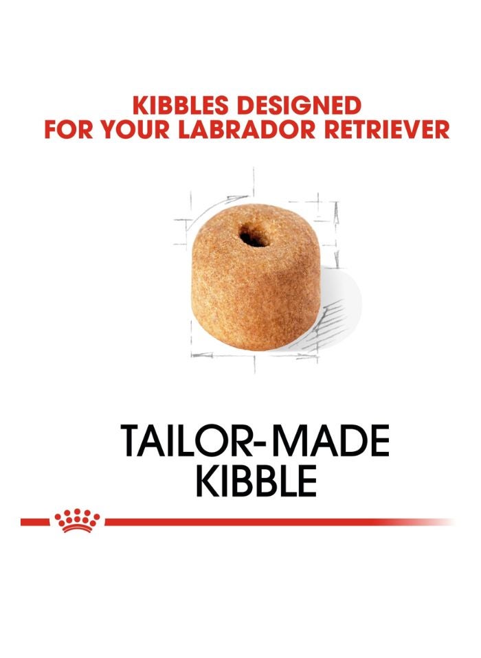 ROYAL CANIN Breed Health Nutrition Labrador Adult 12 KG - Image 2