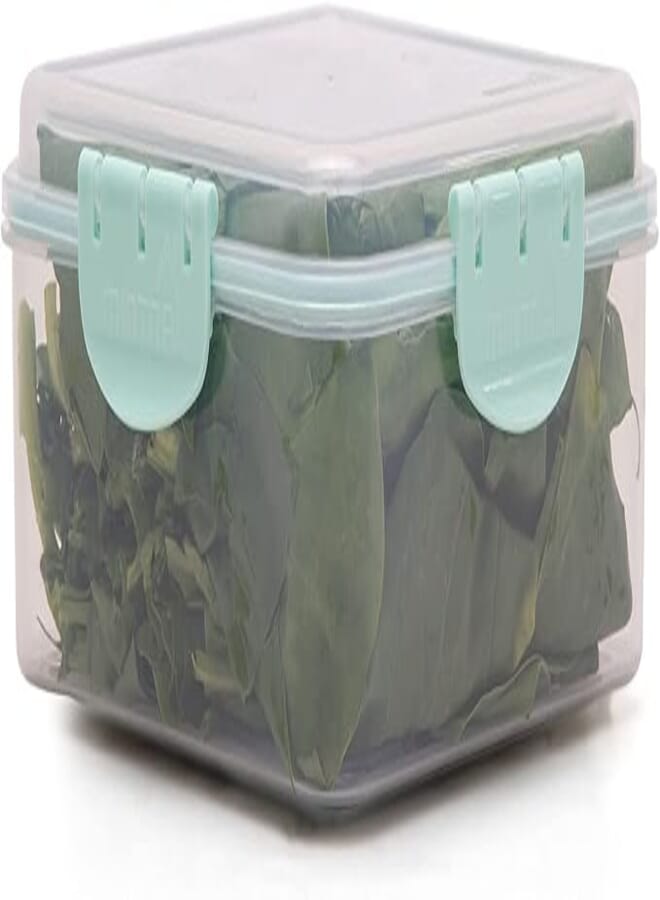Mintra Home Transparent Food Container 1.7L-Summer blue