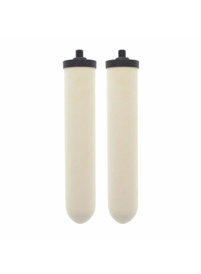 Doulton W9123053 UltraCarb 10 Inch Ceramic Candle Filter Cartridge (2 PACK) - Image 1