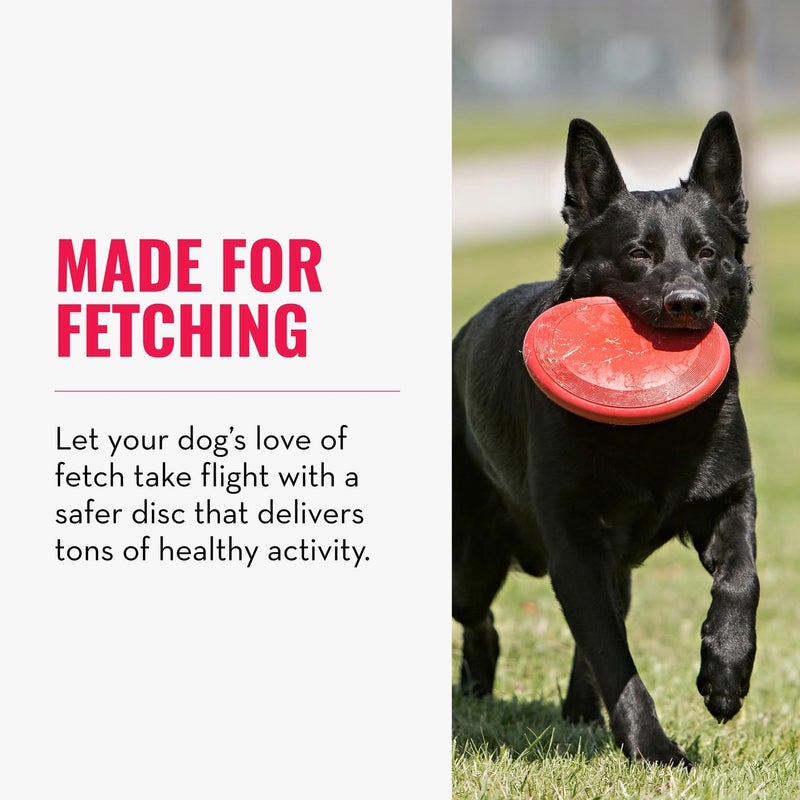KONG Flyer - Durable Dog Toy for Outdoor Playtime - Natural Rubber Flying Disc, Dog Toy for Fetch - Safer Disc for Healthy Activity - for Small Dogs - Image 3
