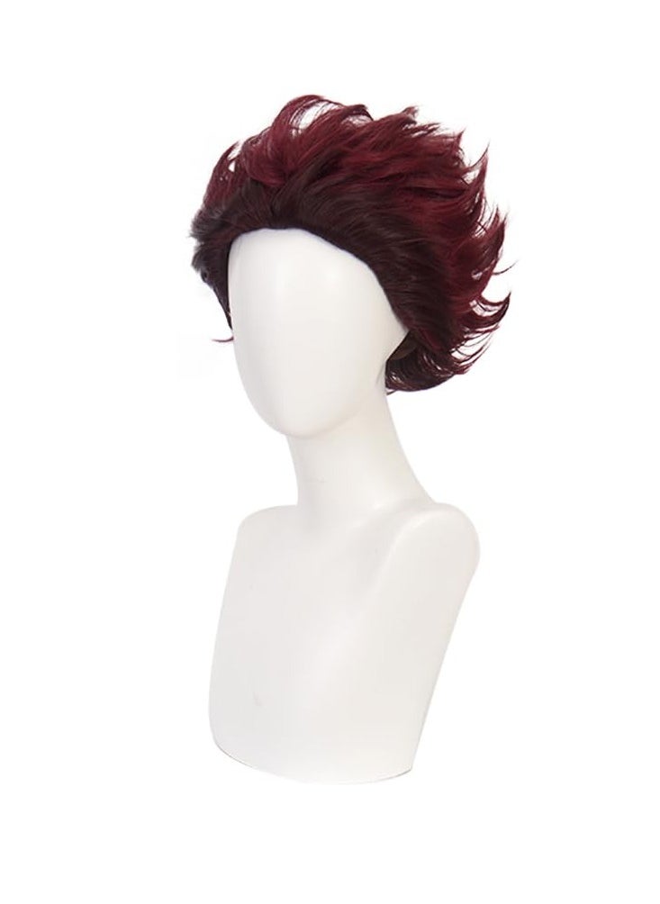 ZGNGLIZ - Anime Kamado Tanjirou Cosplay wig for Demon Slayer: Kimetsu no Yaiba Characters Play Cosplay Wigs with Free Wig Cap - Image 1