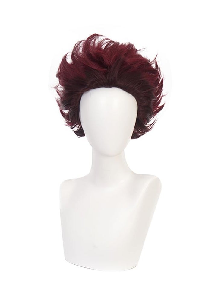 ZGNGLIZ - Anime Kamado Tanjirou Cosplay wig for Demon Slayer: Kimetsu no Yaiba Characters Play Cosplay Wigs with Free Wig Cap - Image 1