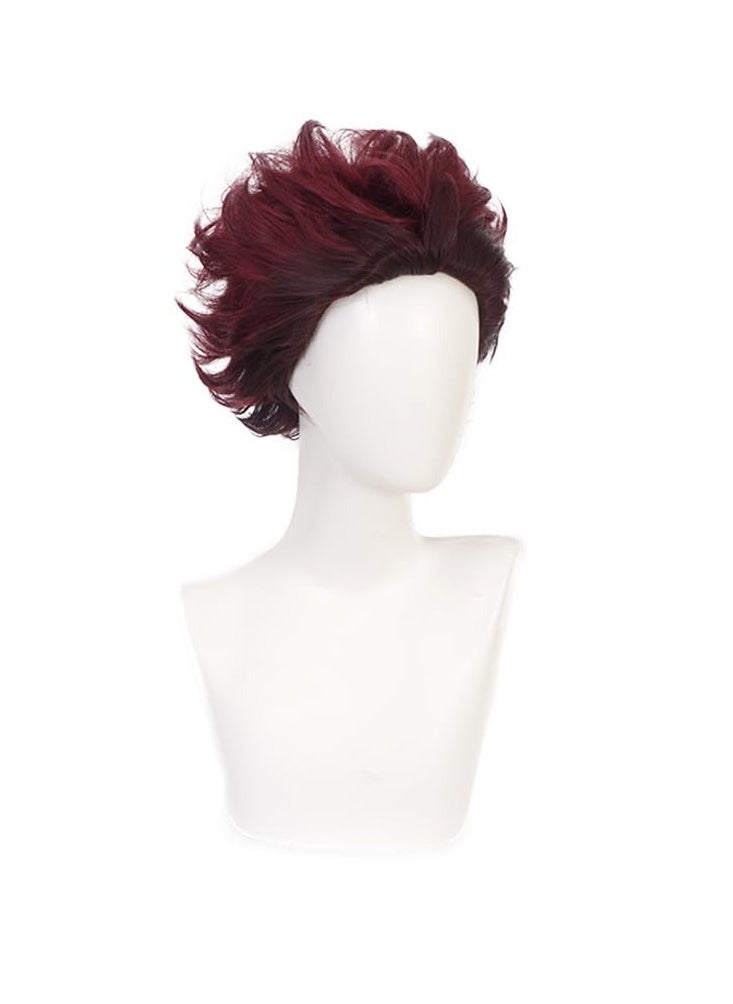 ZGNGLIZ - Anime Kamado Tanjirou Cosplay wig for Demon Slayer: Kimetsu no Yaiba Characters Play Cosplay Wigs with Free Wig Cap - Image 1