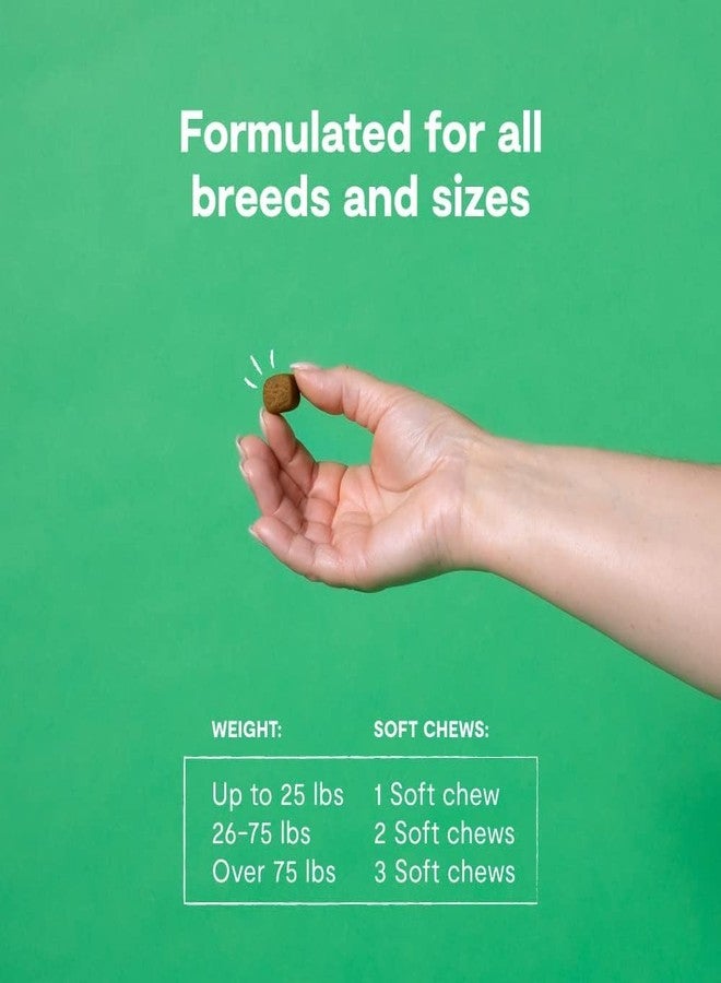 Open Farm أوبن فارم إيميون تشيوز، مكمل غذائي للكلاب بمكونات نباتية وبروبيوتيك لدعم المناعة والجلد، 12.7 أونصة، 90 قطعة - Image 4