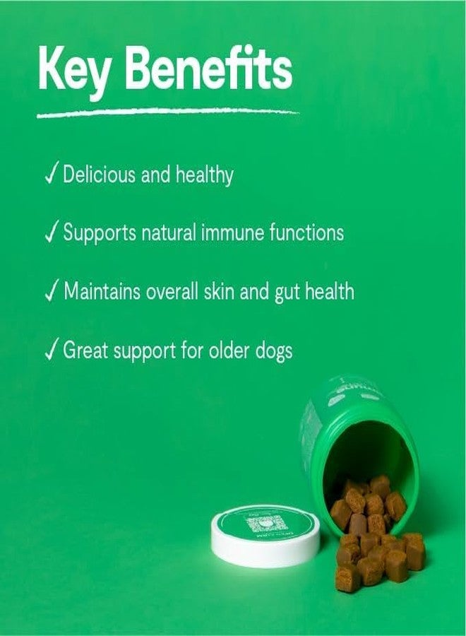 Open Farm أوبن فارم إيميون تشيوز، مكمل غذائي للكلاب بمكونات نباتية وبروبيوتيك لدعم المناعة والجلد، 12.7 أونصة، 90 قطعة - Image 3