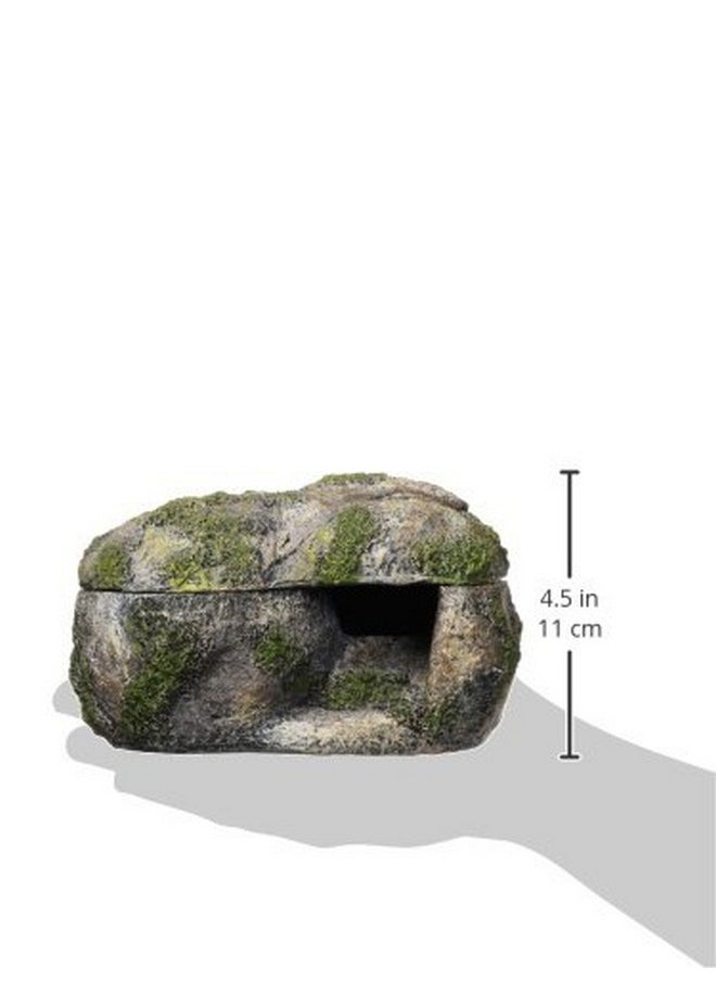 Zilla - Rock Lair Md - Image 1