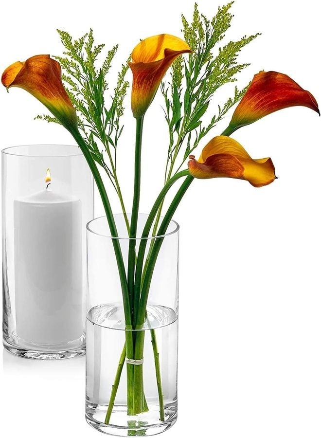 Set of 2 Clear Glass Cylinder Vases – 8 Inch Tall x 5 Inch Wide – Pillar Candle Holders, Floating Candle Vases or Flower Vases – Decorative Centerpieces for Weddings, Events & Home Décor - Image 3