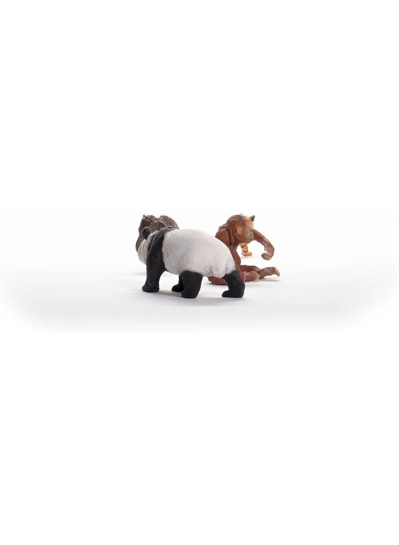 Schleich Wild Life Asia Starter Set 42736 - Image 3