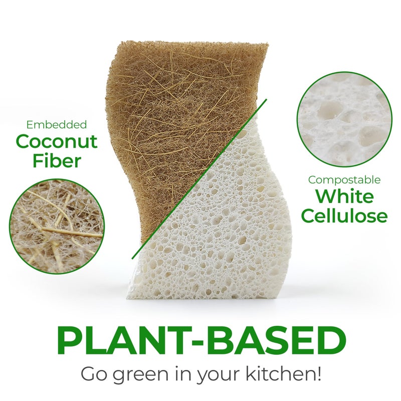 AIRNEX Natural Kitchen Sponge - Biodegradable Compostable Cellulose and Coconut Scrubber Sponge - Pack of 12 Eco Friendly Sponges for Dishes - Image 2