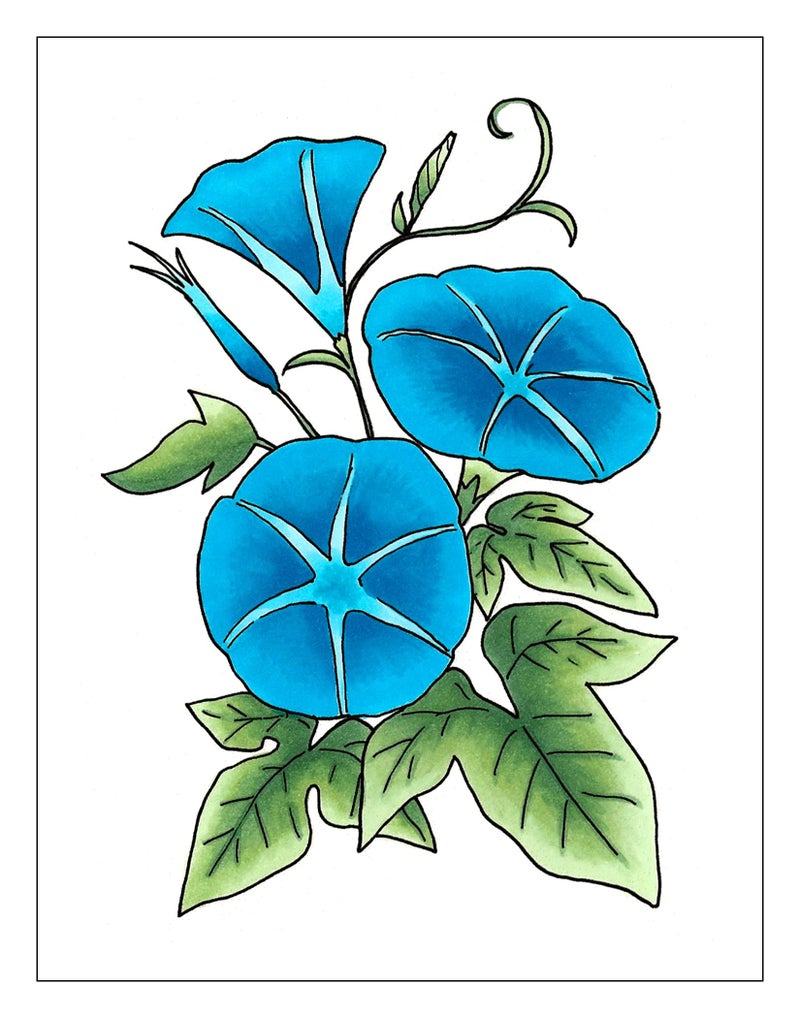 Copic Sketch, Alcohol-based Markers, 3pc Set, Color Fusion #6 - Image 2