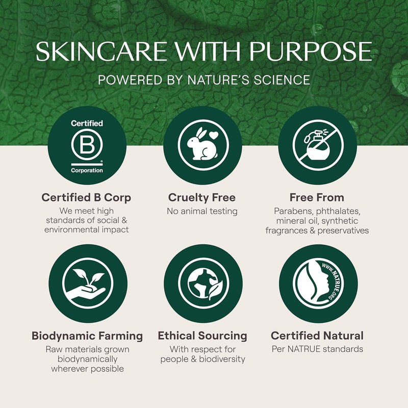 Weleda كريم النهار المغذي للعناية بالوجه من ويليدا سكين فود، 1.3 أونصة سائلة، مرطب غني بالنباتات مع مستخلص ورق الزيتون، سكوالان وبابونج - Image 4