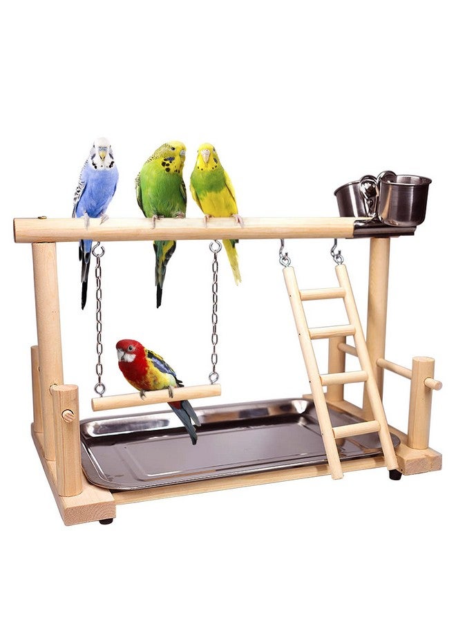 kathson Bird Playground,Parrot Play Stand,Parakeet Play Gym with Feeding Cups,Cockatiel Perchs Playstand with Exercise Toys for Budgie Conures Cockatoos Lovebirds - Image 1