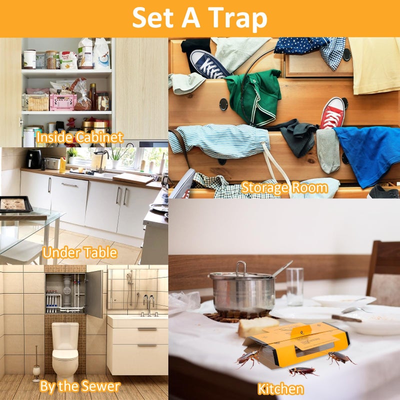 Stingmon 24 Pack Roach Traps Indoor, Roach Killer Indoor Infestation Glue Traps for Roaches, Cockroach Home for Bugs - Image 5
