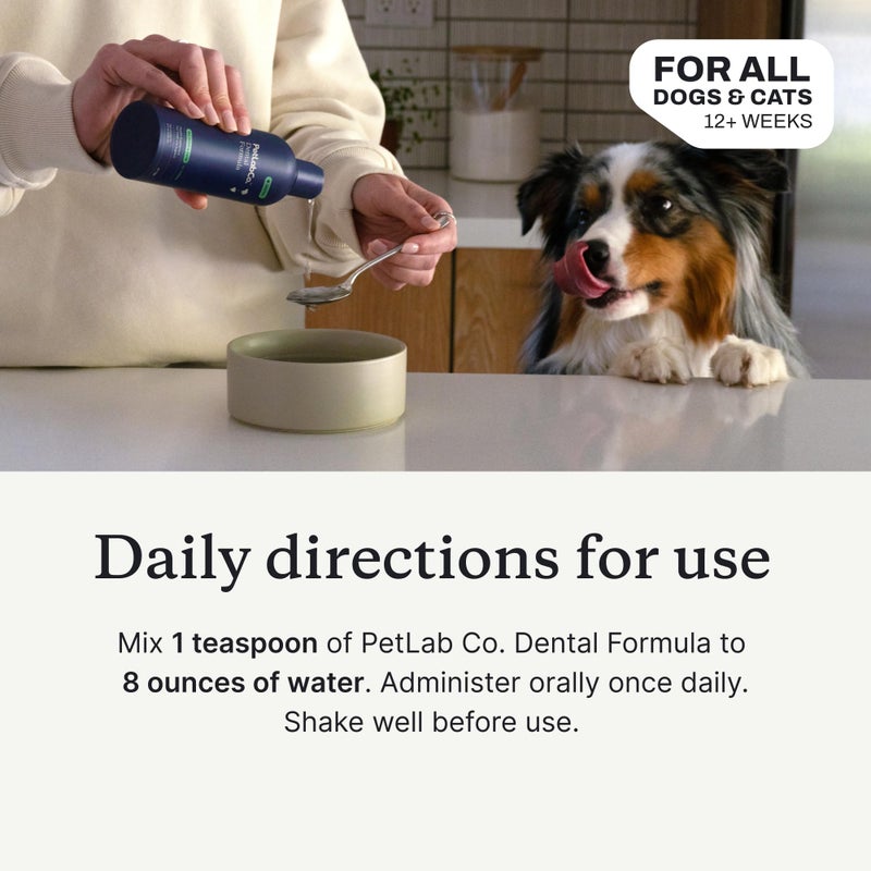 PetLab Co. Dog Dental Formula - Keep Dog Breath Fresh and Teeth Clean - Supports Gum Health - Dog Water Additive Dental Care Targets Tartar - Packaging May Vary - Image 4