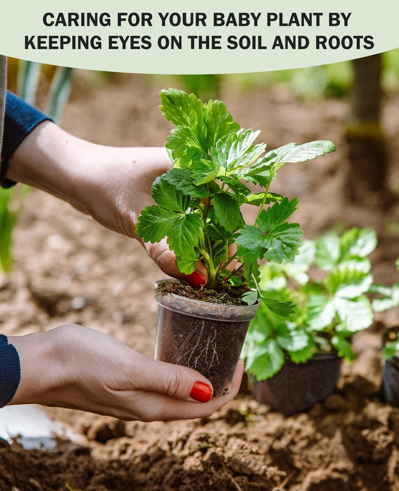 homenote Clear Nursery Pots for Plants,3 Inch Plant Pot for Planting Plastic Seedling with Drainage Holes Seed Starter Flower High Transparency with 20 Labels (60 Pack) - Image 5