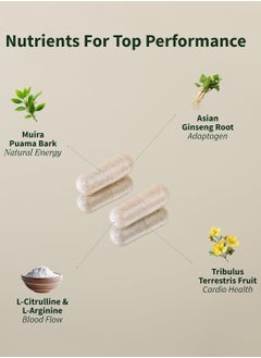 SNAP SUPPLEMENTS معزز أكسيد النيتريك يدعم التعافي السريع والدورة الدموية الصحية ونمو العضلات، مكمل غذائي - 60 كبسولة  - Image 3