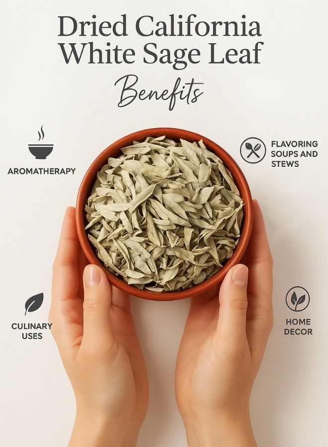 زهر أوراق مريمية كاليفورنيا البيضاء من AL ZAHR - أوراق مجففة نقية 100%، من مصادر طبيعية، مصنفة يدويًا، للاستخدام في العلاج بالروائح، والاستخدامات في الطهي، والديكور المنزلي، والعلاجات العشبية - Image 5