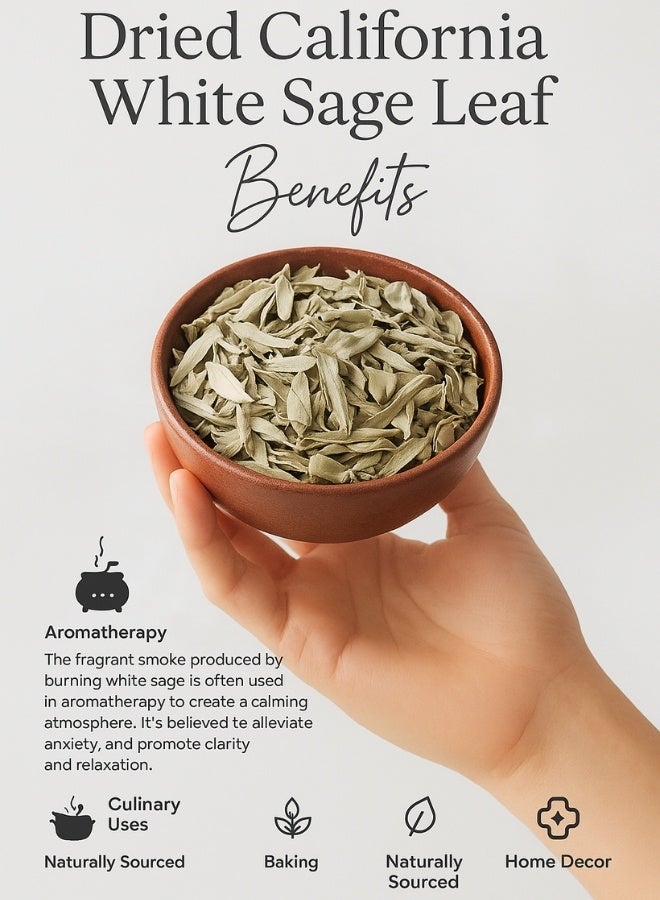 زهر أوراق مريمية كاليفورنيا البيضاء من AL ZAHR - أوراق مجففة نقية 100%، من مصادر طبيعية، مصنفة يدويًا، للاستخدام في العلاج بالروائح، والاستخدامات في الطهي، والديكور المنزلي، والعلاجات العشبية - Image 2