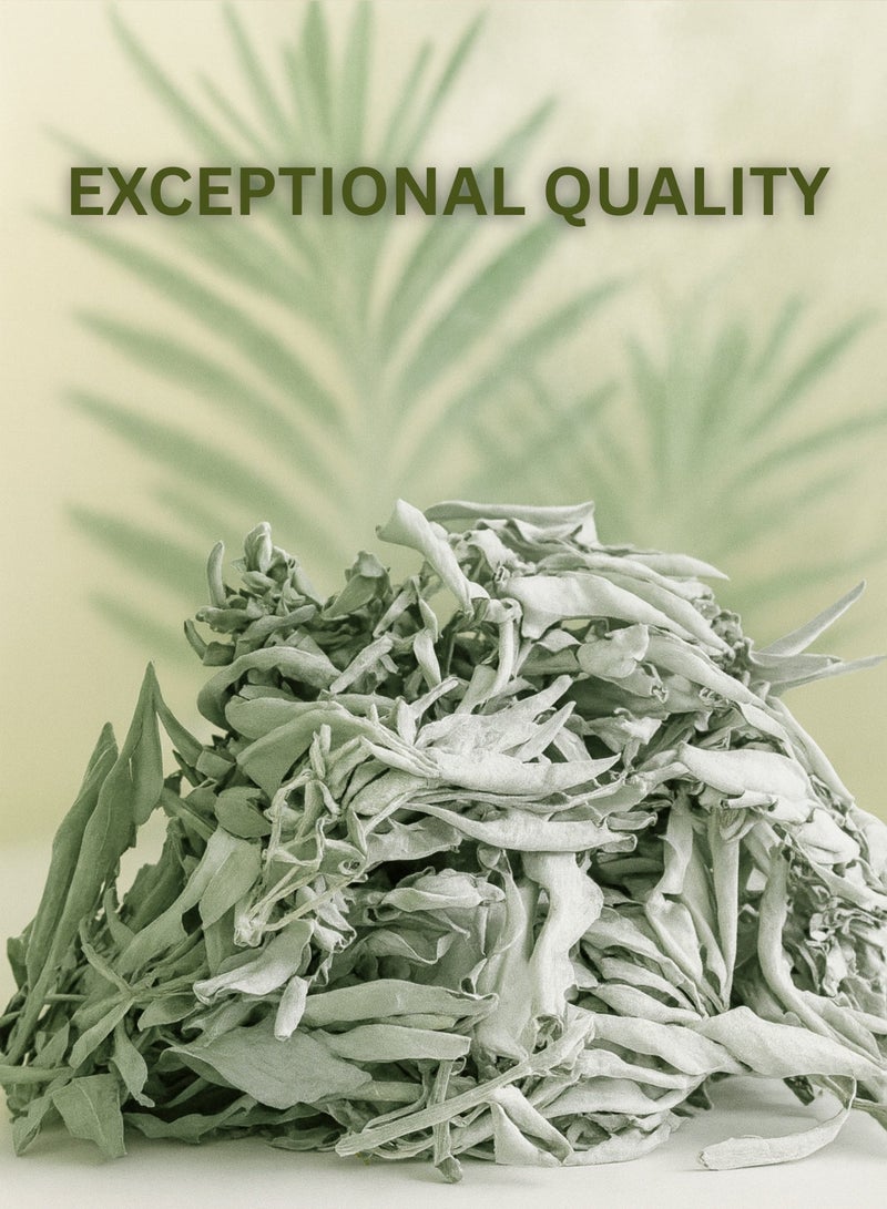 زهر أوراق مريمية كاليفورنيا البيضاء من AL ZAHR - أوراق مجففة نقية 100%، من مصادر طبيعية، مصنفة يدويًا، للاستخدام في العلاج بالروائح، والاستخدامات في الطهي، والديكور المنزلي، والعلاجات العشبية - Image 2