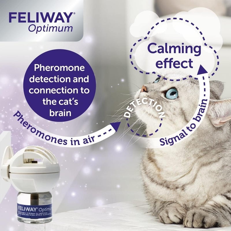 Feliway Optimum Refill,Purple, 3 Pack Temp fluctuation resistant crafted quality - Image 2