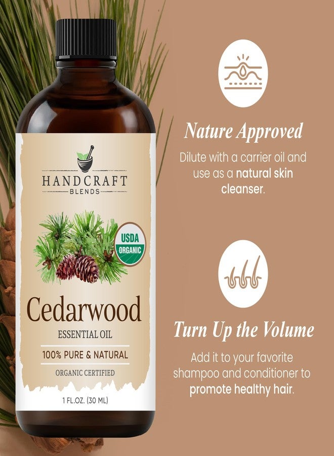 Handcraft Blends Organic Cedarwood Essential Oil - 1 Fl Oz - 100% Pure and Natural - Premium Grade Essential Oil for Diffuser and Aromatherapy - Image 2