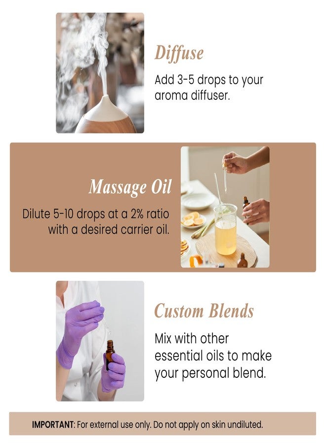 Handcraft Blends Organic Cedarwood Essential Oil - 1 Fl Oz - 100% Pure and Natural - Premium Grade Essential Oil for Diffuser and Aromatherapy - Image 3