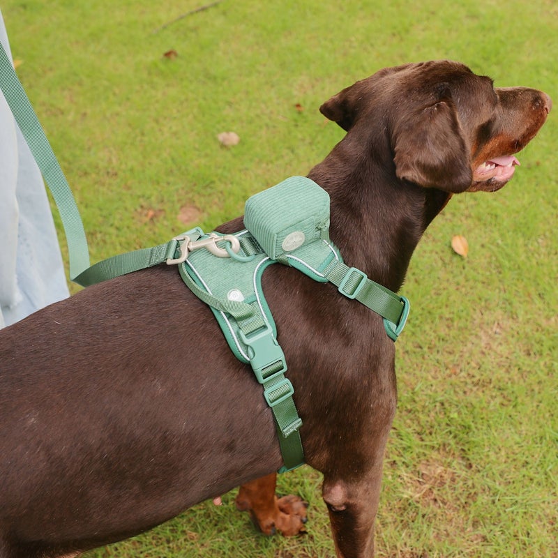 Dark Green Corduroy Pet Harness Set With Leash Poo Bag Holder 3 Piece Dog Supplies Customized Name - Image 2