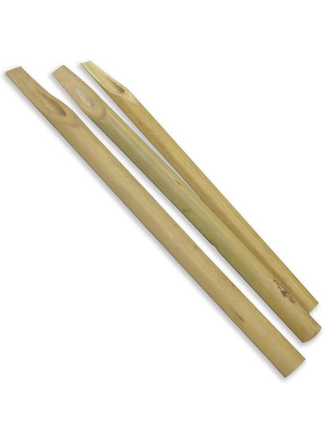 Terabyte Bamboo Reed Pens, Calligraphy Pens, 3-Piece Calligraphy Pens, Handcrafted Vintage Manga Calligraphy Pens for Writing, Drawing, Painting (Natural Bamboo Tip Set)  - Image 2