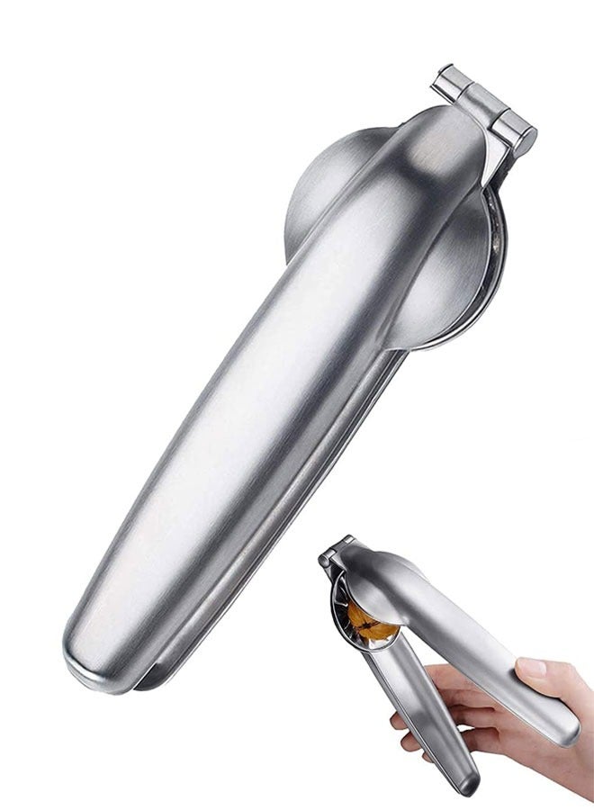 وهاواي Nutcracker Chestnut Clip Nut Cracker Sheller Walnut Pliers Stainless Steel Nut Opener Plier Kitchen Tools Multifunctional Quick Metal Plier for All Nuts - Image 1