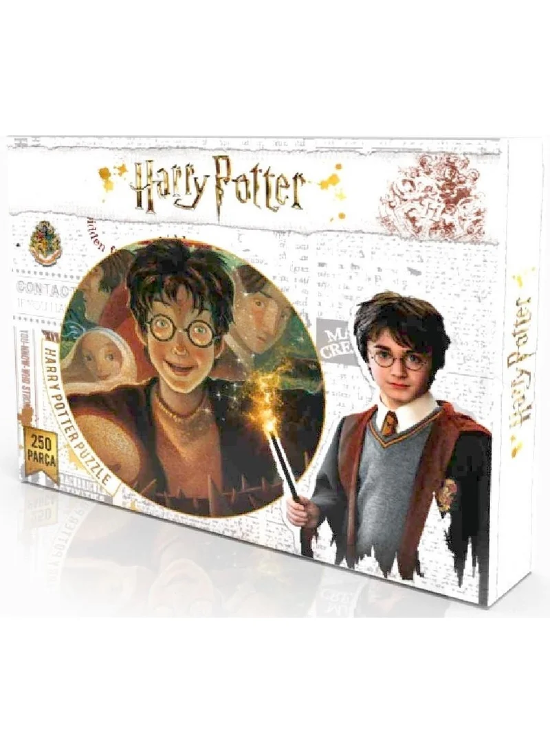 Harry Potter HP7565 250 Piece Puzzle