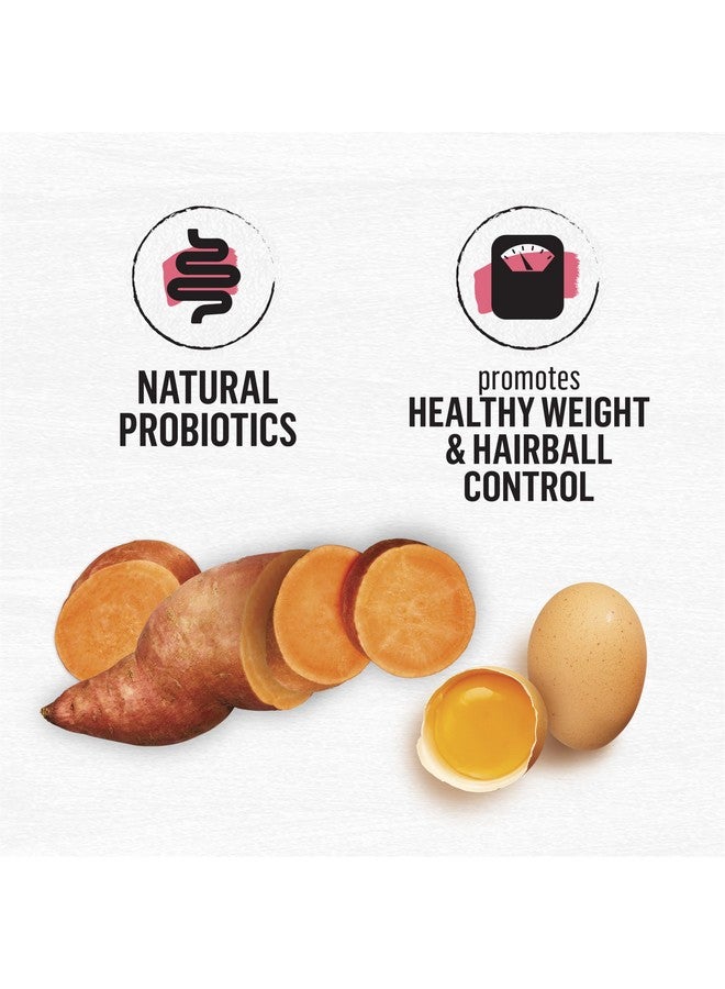 Beyond Purina Beyond Natural Grain Free Dry Cat Food Simply Indoor Salmon, Egg and Sweet Potato Recipe - 3 lb. Bag - Image 4