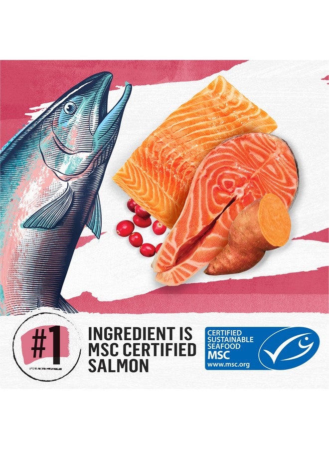 Beyond Purina Beyond Natural Grain Free Dry Cat Food Simply Indoor Salmon, Egg and Sweet Potato Recipe - 3 lb. Bag - Image 3