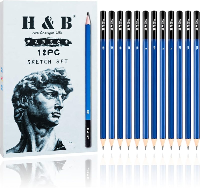 HB Professional Drawing Sketch Pencils Set - 12 PCS, Medium (6B - 4H), Ideal for Drawing Art, Sketching, Shading, Artist Pencils for Beginners & Pro Artists - Image 1