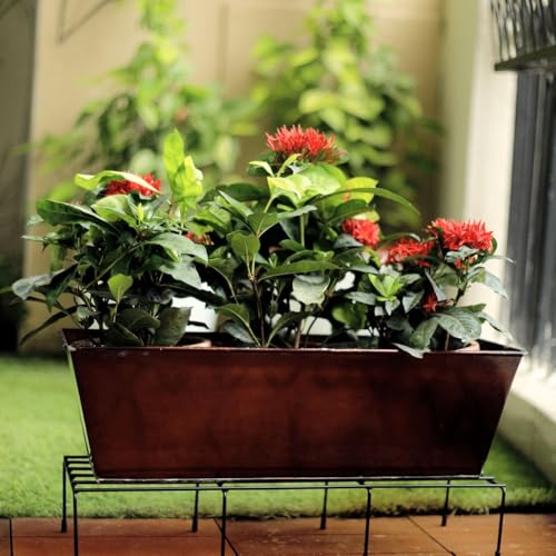 Zamia Black Metal Plant Stands for Home, Balcony & Outdoors | Pack of 4 | Stands for Decorations (Size- 24 Inch L & 8.5 Inch W) | Plant Stand For Living Room - Image 2