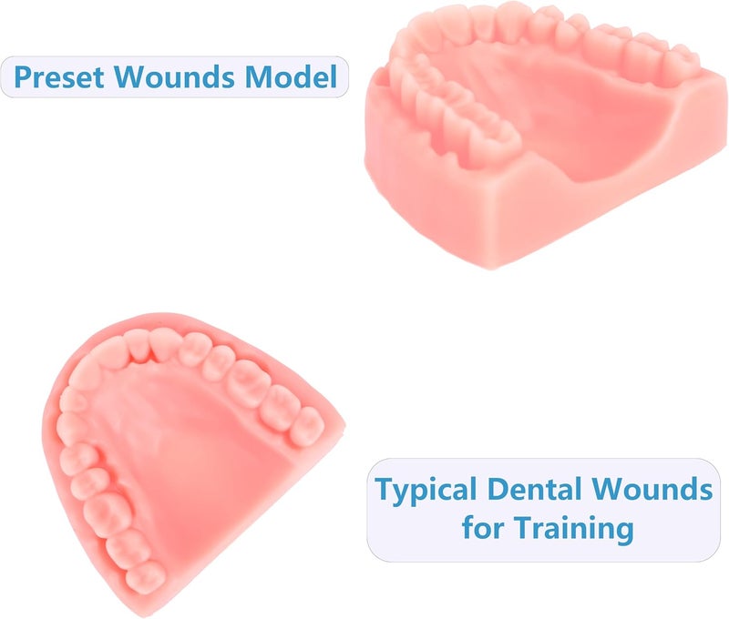 مجموعات تدريب وسادة خياطة الأسنان ومجموعات تدريب الخياطة الفموية لطلاب كلية طب الأسنان أو أطباء الأسنان، 4 أنواع مختلفة من وسادات الخياطة مع وحدة DIY - Image 4