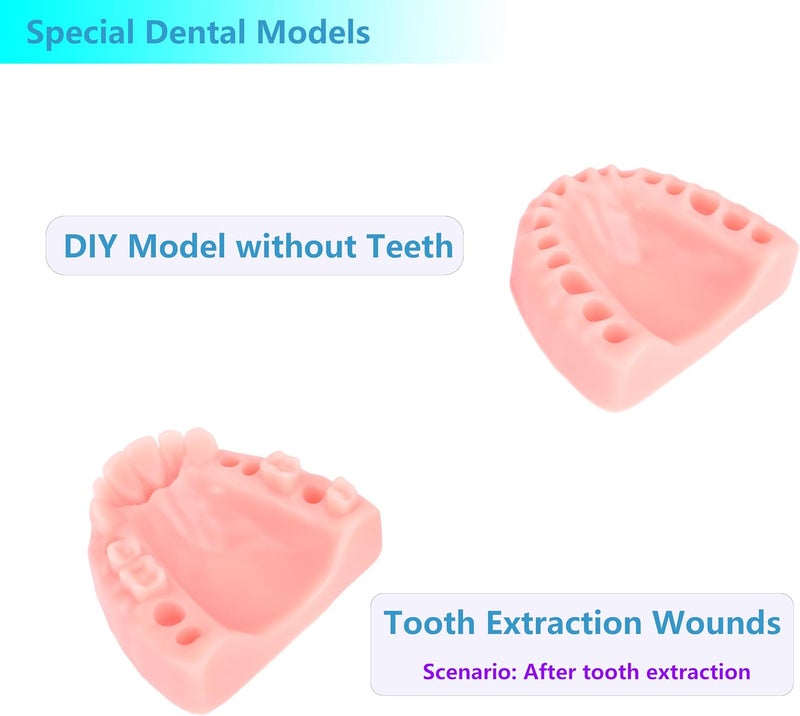 مجموعات تدريب وسادة خياطة الأسنان ومجموعات تدريب الخياطة الفموية لطلاب كلية طب الأسنان أو أطباء الأسنان، 4 أنواع مختلفة من وسادات الخياطة مع وحدة DIY - Image 5