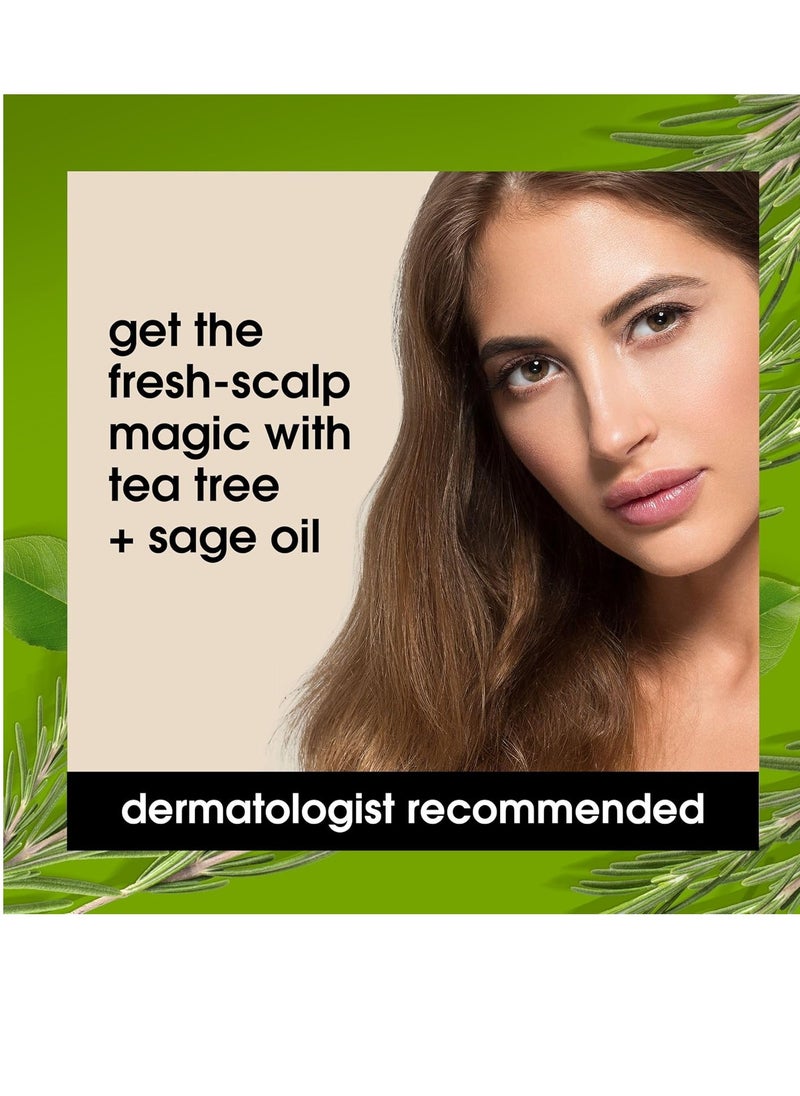 Yes To Yes To Tea Tree & Sage Oil Shampoo and Conditioner, Soothing Dry Itchy Scalp, Natural, Vegan & Cruelty-Free, 12 Fl Oz  - Image 4