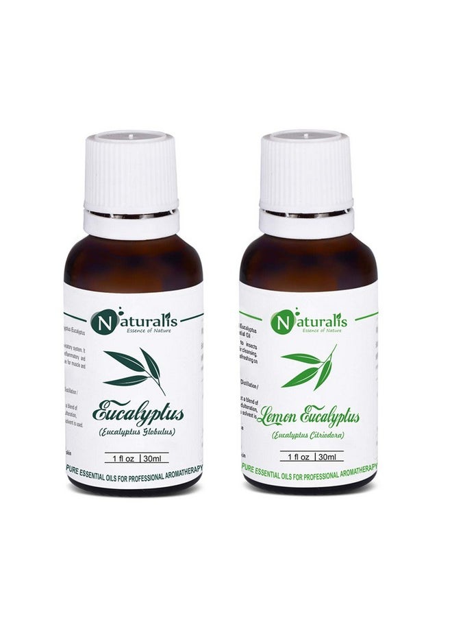 Naturalis Naturalis Essential Oil Gift Pack of 2-30ml (Eucalyptus Oil, Lemon Eucalyptus Oil)  - Image 2