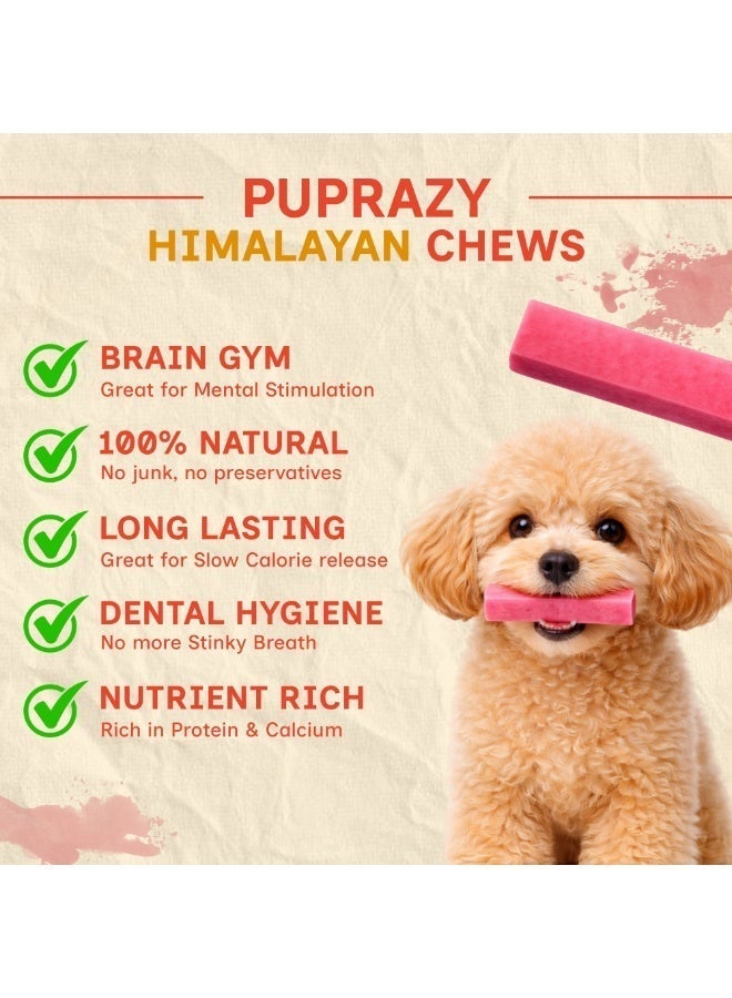 PUPRAZY Yak Cheese Himalayan Dog Chew Bars- Strawberry Flavor| All natural, Long-lasting Veg Dental dog treat Antioxidant bone - Image 2