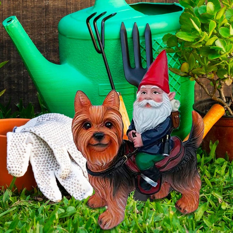 Funny Guy Mugs Gnome Riding A Yorkshire Terrior Statue - Indoor or Outdoor Garden Gnome Sculpture for Patio, Yard or Lawn - Image 2