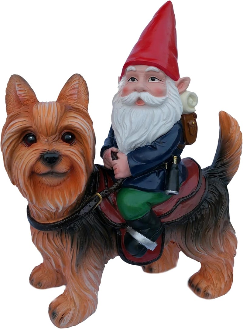 Funny Guy Mugs Gnome Riding A Yorkshire Terrior Statue - Indoor or Outdoor Garden Gnome Sculpture for Patio, Yard or Lawn - Image 1