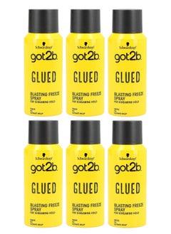 pack of 6