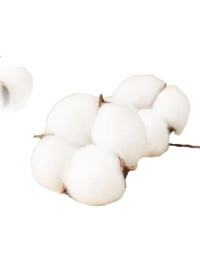 THREEGUN Sanqiang [Yinxiang Series] Women'S Socks, Pure Cotton Mid-Calf Socks, Versatile Casual Socks, Simple Socks - Image 1